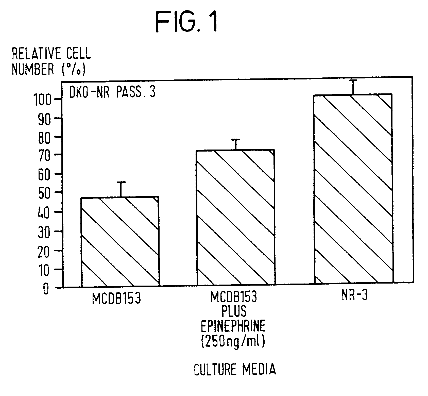 Improved immortalized human skin cell lines and novel serum-free medium useful for the production thereof