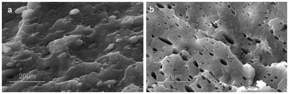 In-situ stretching multi-photon laser confocal imager and method for real-time in-situ three-dimensional observation of internal structure of blended polymer