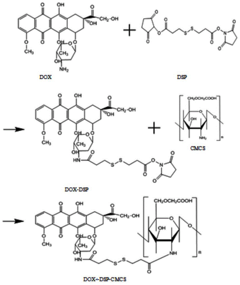 Environmentally responsive tumor targeted combined administration transfer system