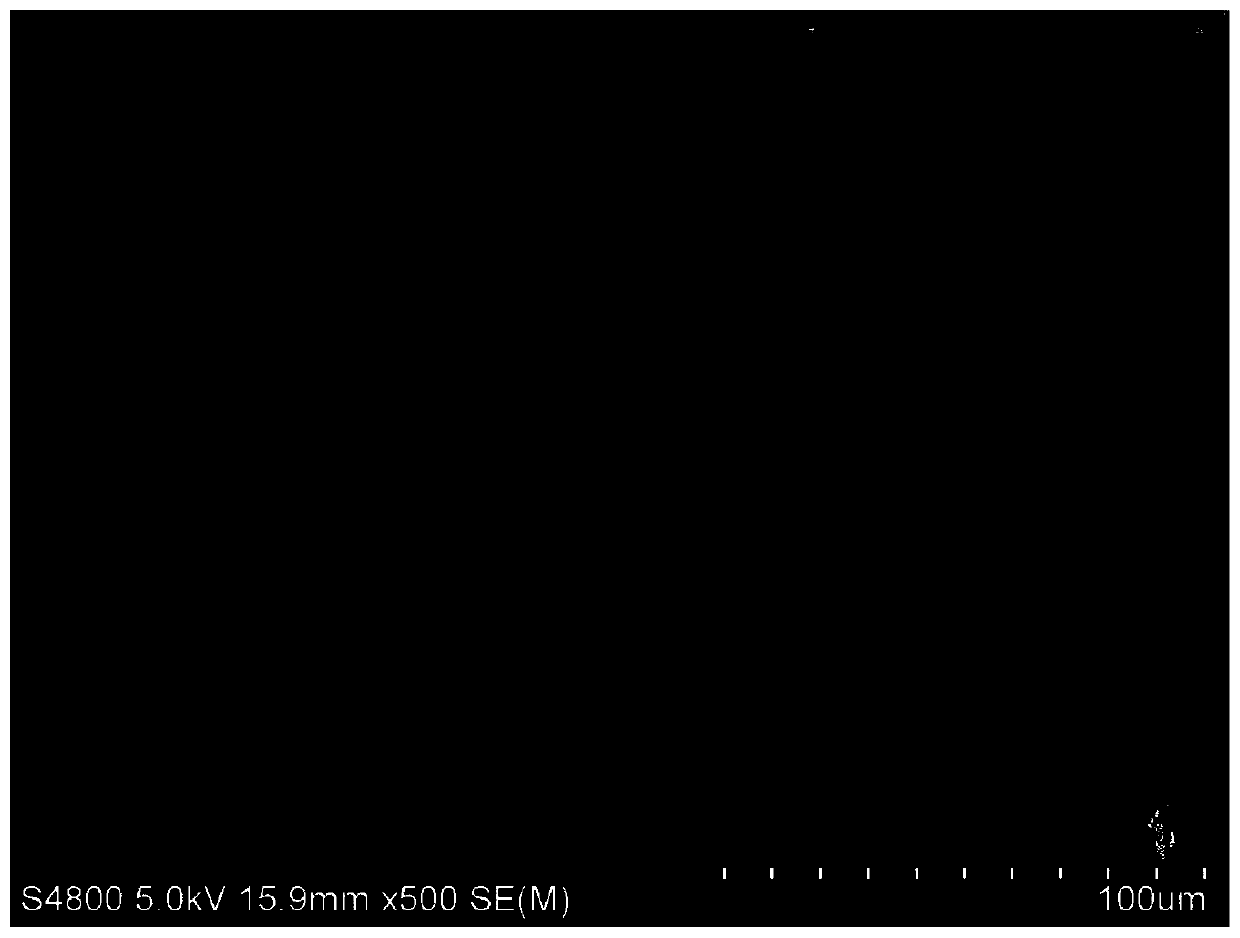 Conductive carrier self-supporting flower-shaped Co3V2O8 lithium ion battery negative electrode material and preparation