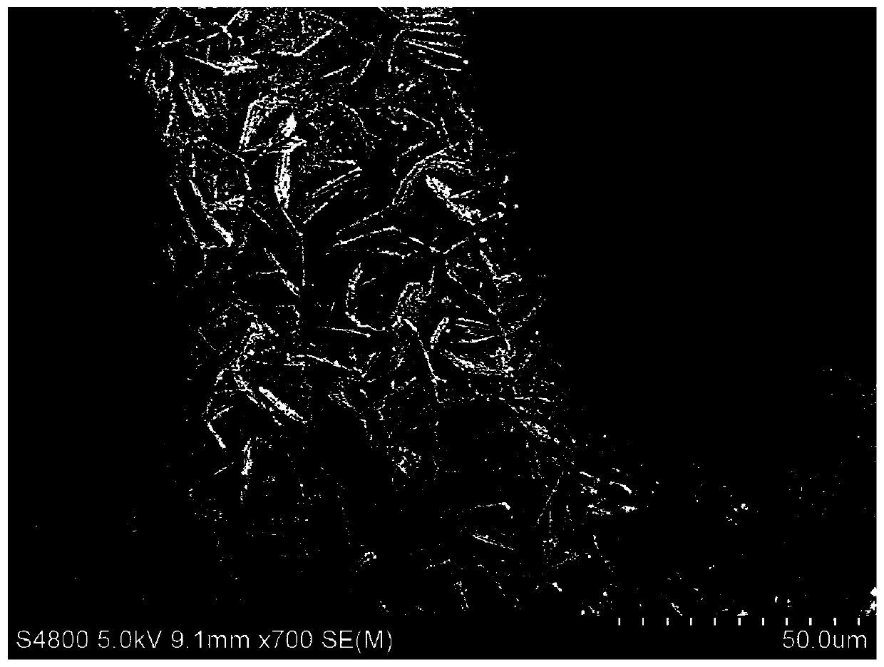 Conductive carrier self-supporting flower-shaped Co3V2O8 lithium ion battery negative electrode material and preparation