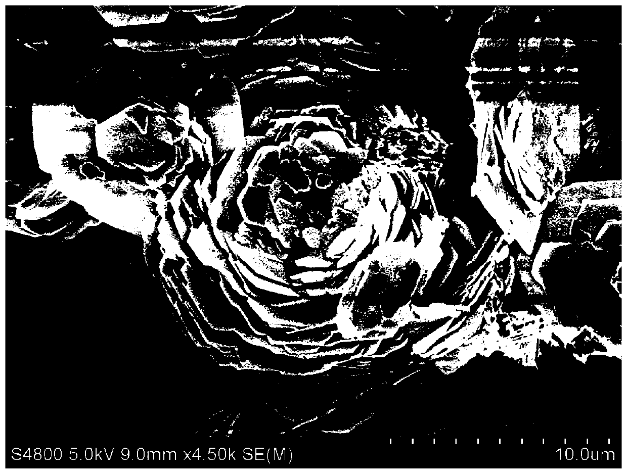 Conductive carrier self-supporting flower-shaped Co3V2O8 lithium ion battery negative electrode material and preparation