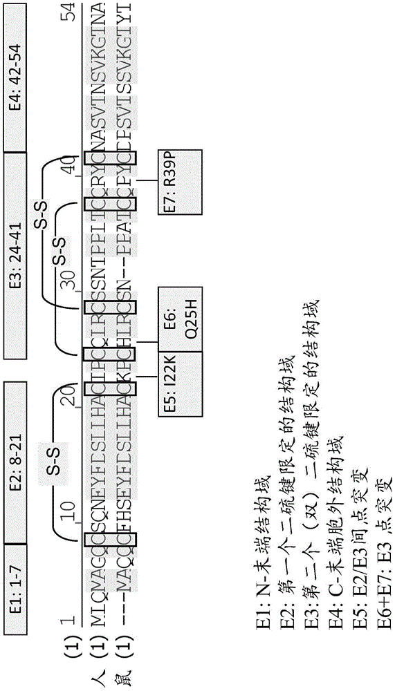 Binding molecules for bcma and cd3