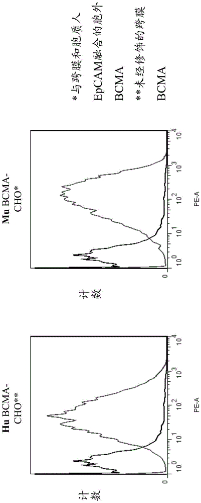 Binding molecules for bcma and cd3