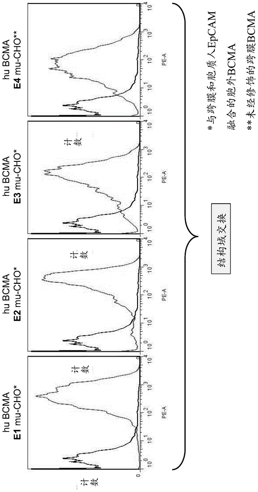 Binding molecules for bcma and cd3