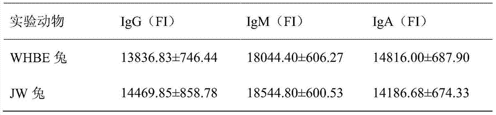 Rabbit serum immunoglobulin liquid-phase suspension chips and preparation and application thereof