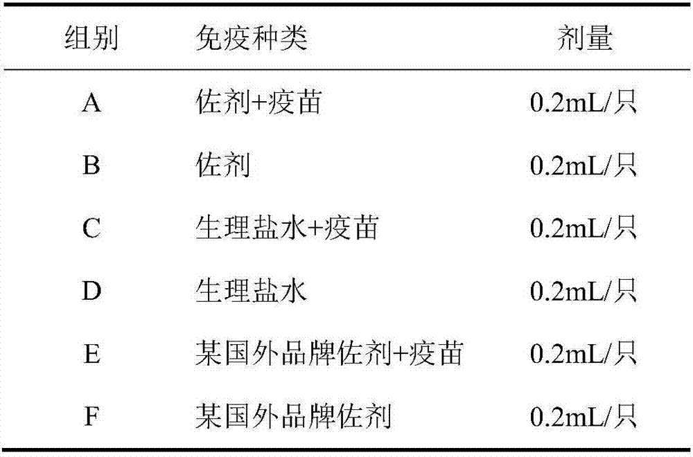 Oil-in-water vaccine adjuvant and preparation method thereof