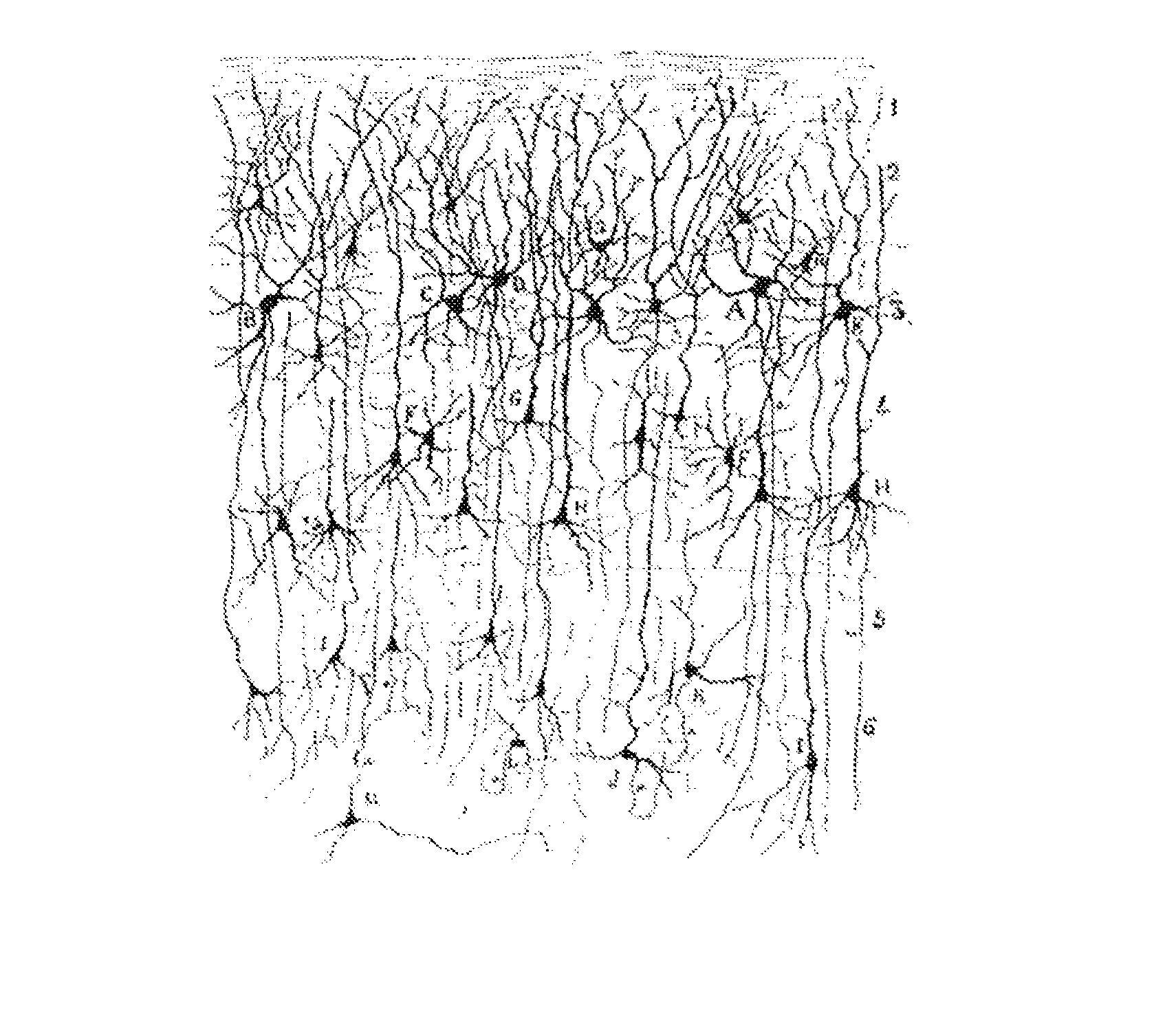 Direct imaging of neural currents using ultra-low field magnetic resonance techniques