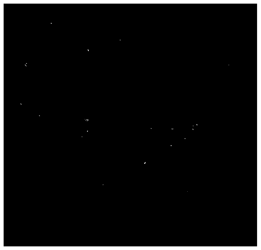 Uniseriate chaetomium, microbial agent including same, preparation method and application thereof