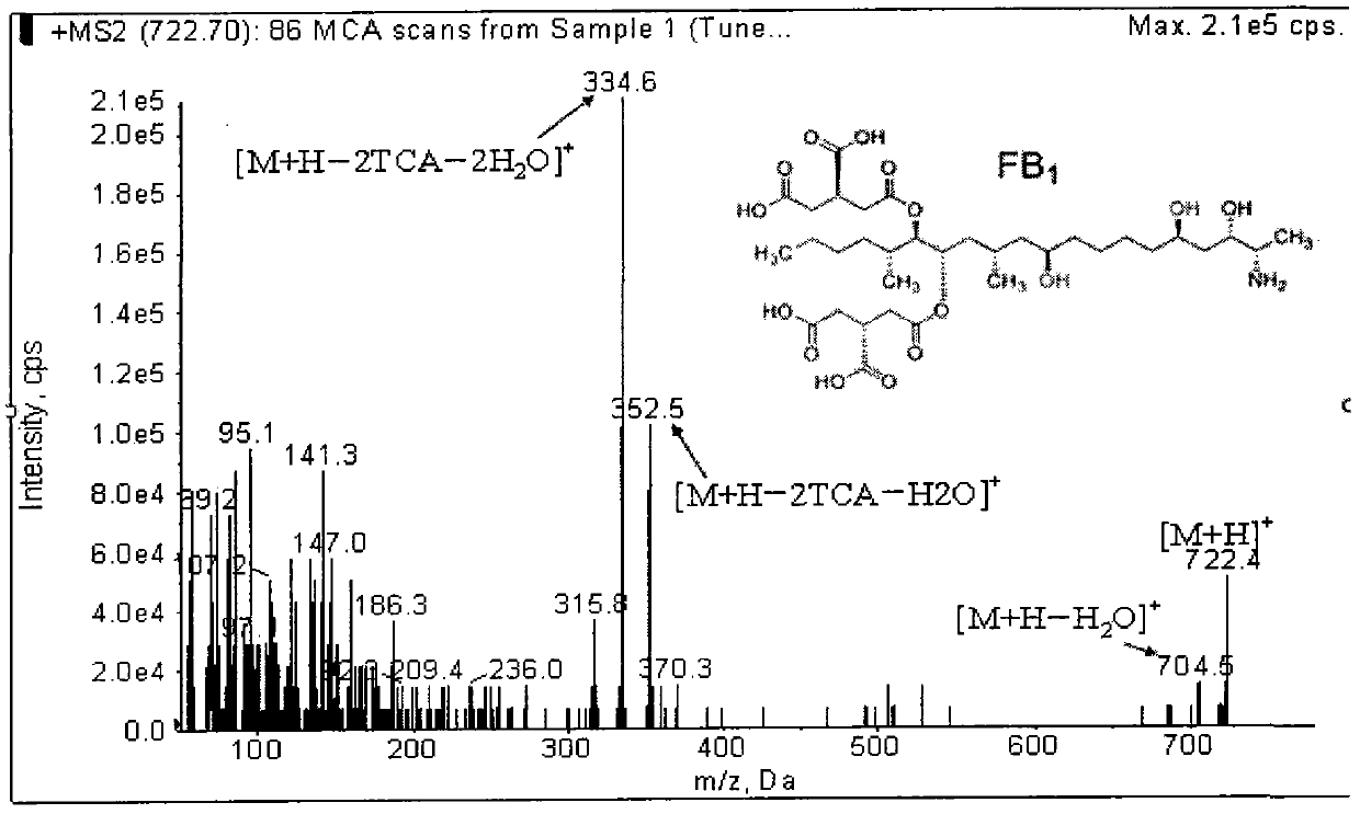 Method for simultaneously detecting fumonisins B1 and B2 in different matrix traditional Chinese medicines