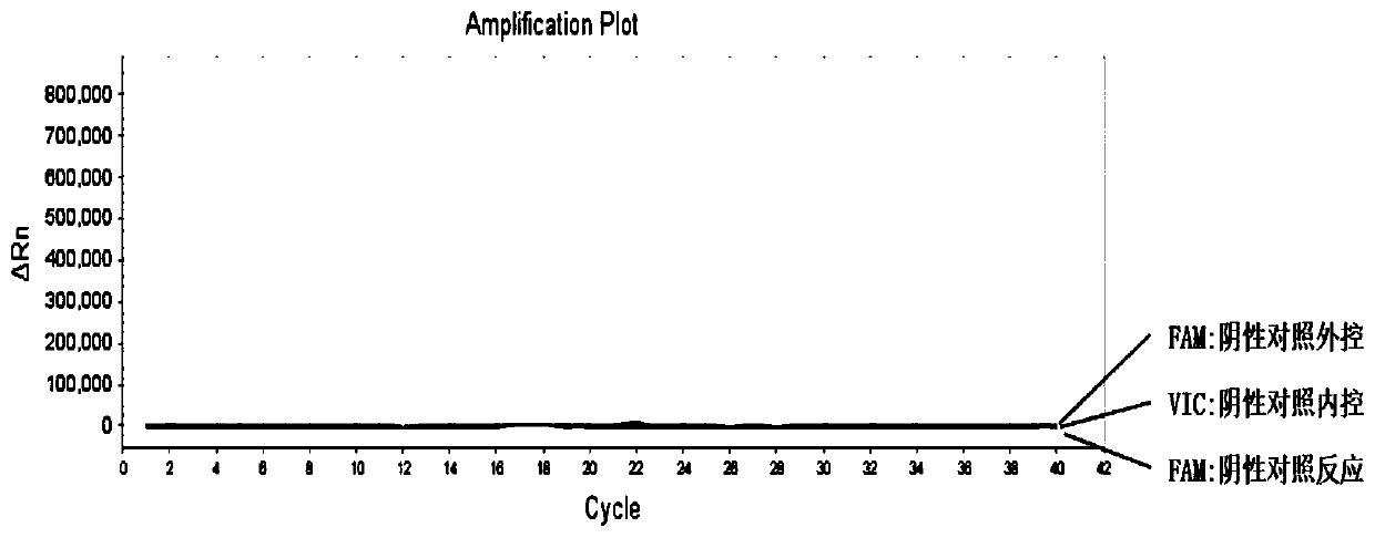 Detection kit and detection method for human BRAF gene V600E mutation