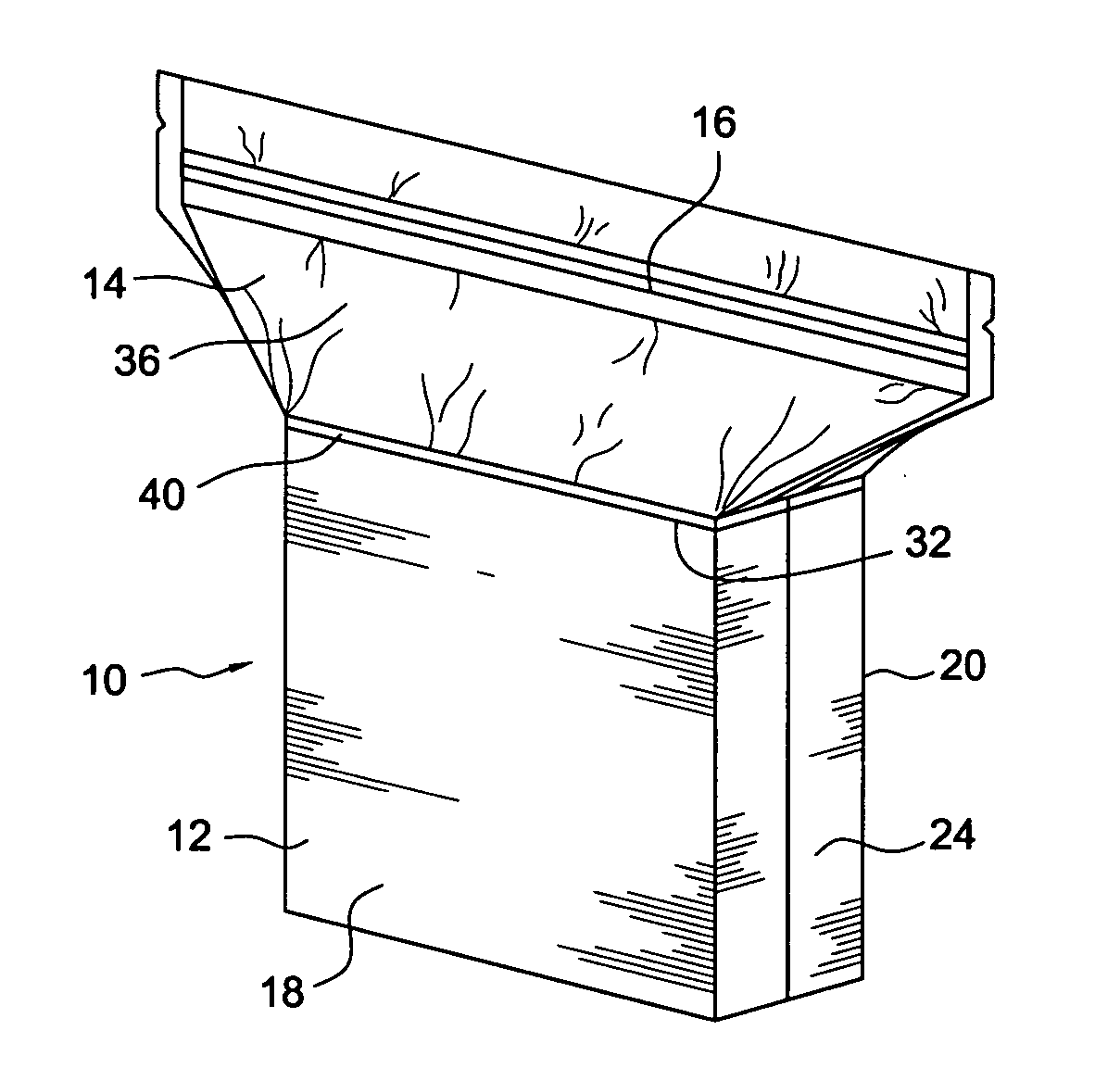 Combination container and bag