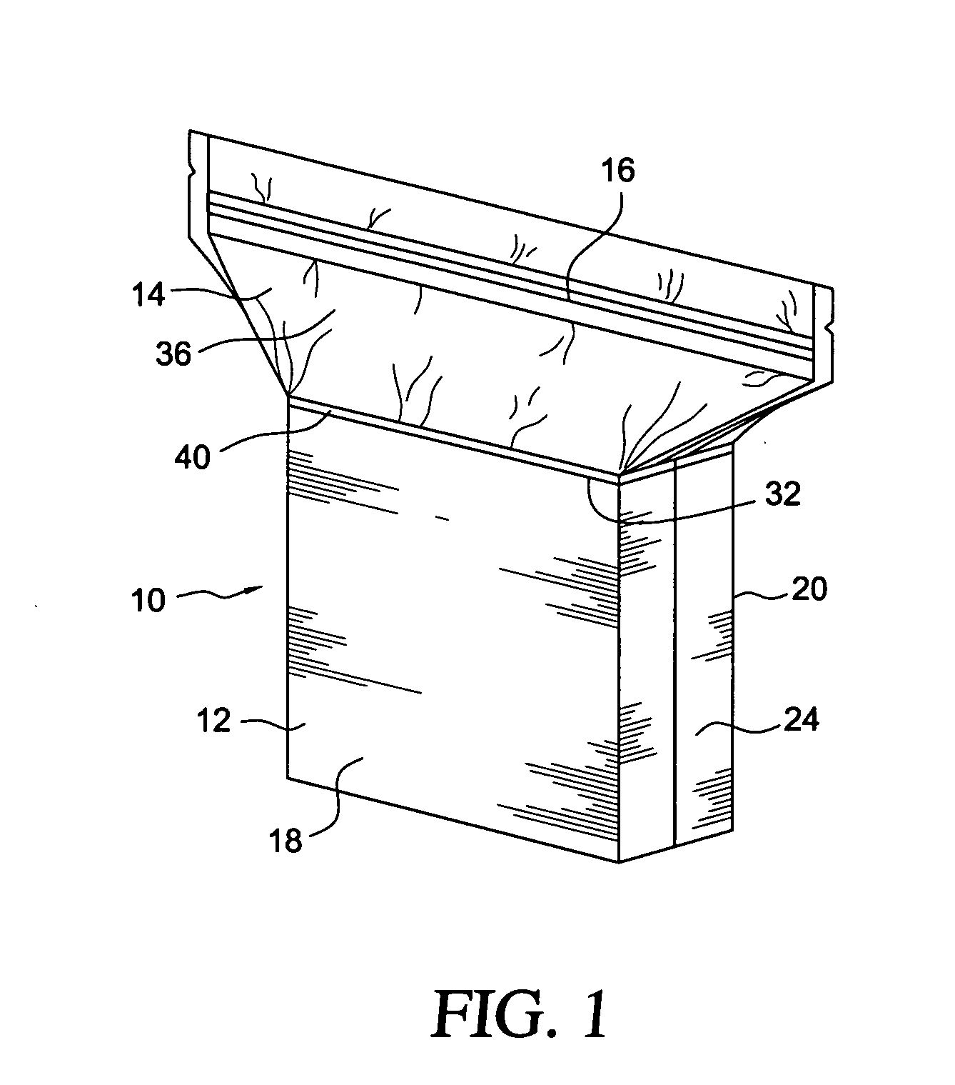 Combination container and bag