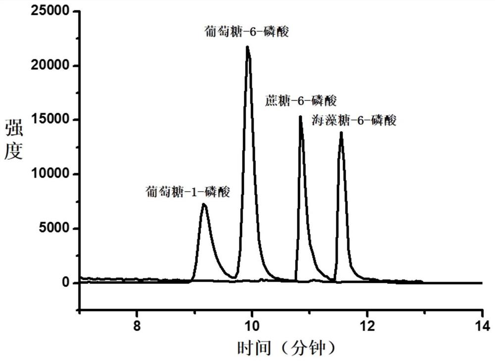 A pretreatment method and quantitative detection method of endogenous phosphate sugar compounds in plant samples