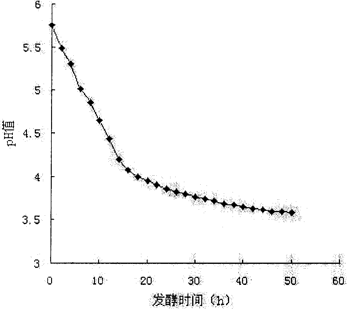 Process for preparing lactic acid bacteria oral liquor