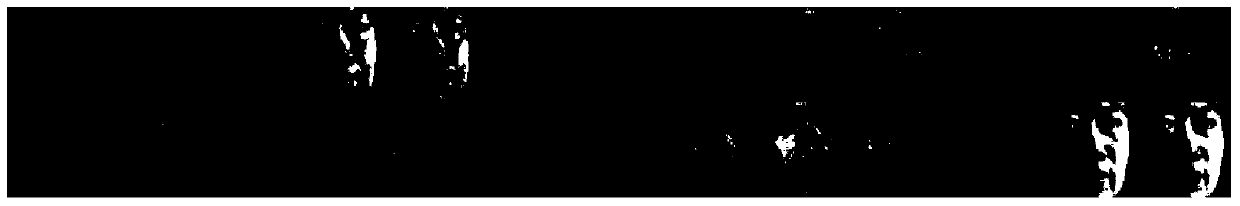 Image classification method based on SRC and MFA