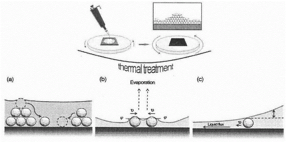 Colloidal-single-crystal-self-assembly computer simulation method based on heat-treatment assistance and preparing method of colloidal single crystals