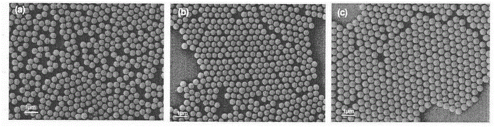 Colloidal-single-crystal-self-assembly computer simulation method based on heat-treatment assistance and preparing method of colloidal single crystals