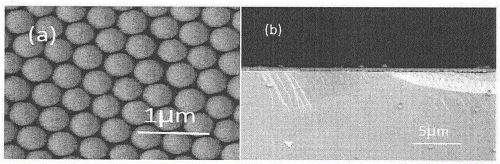 Colloidal-single-crystal-self-assembly computer simulation method based on heat-treatment assistance and preparing method of colloidal single crystals