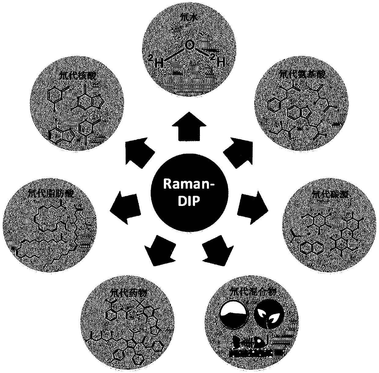 In-situ rapid detection method for cell biological process