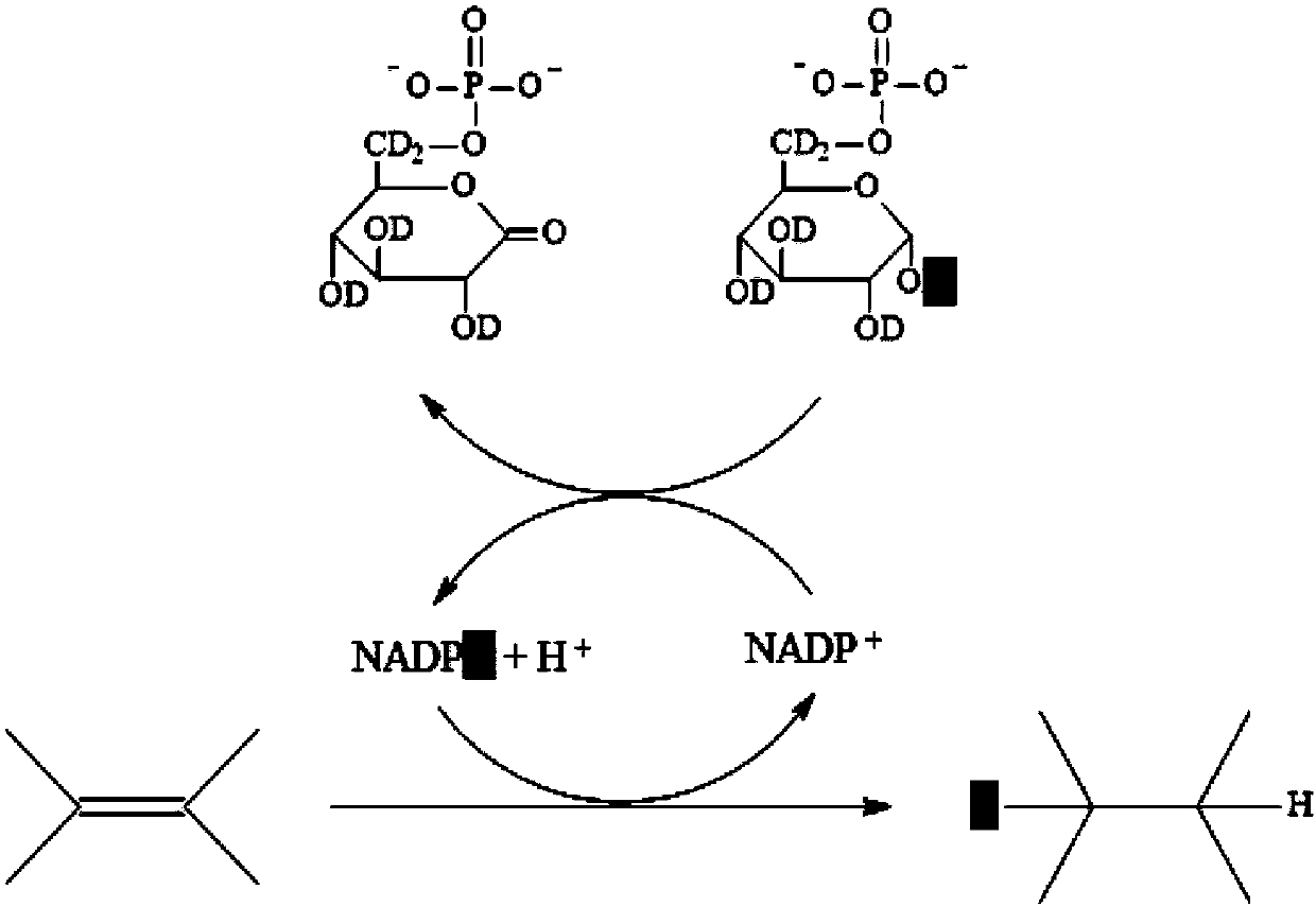 In-situ rapid detection method for cell biological process