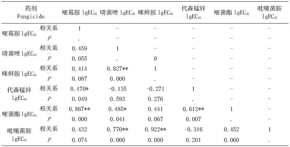 Prevention and treatment method for anthracnose of amomum tsao-ko