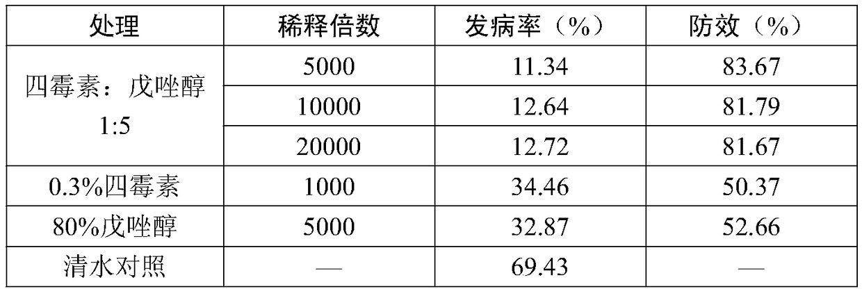 Bactericidal composition for preventing and controlling soft rot of actinidia chinensis