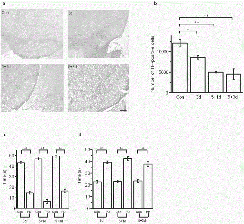 Application of miRNA-543-3p in diagnosis and treatment of Parkinson's disease