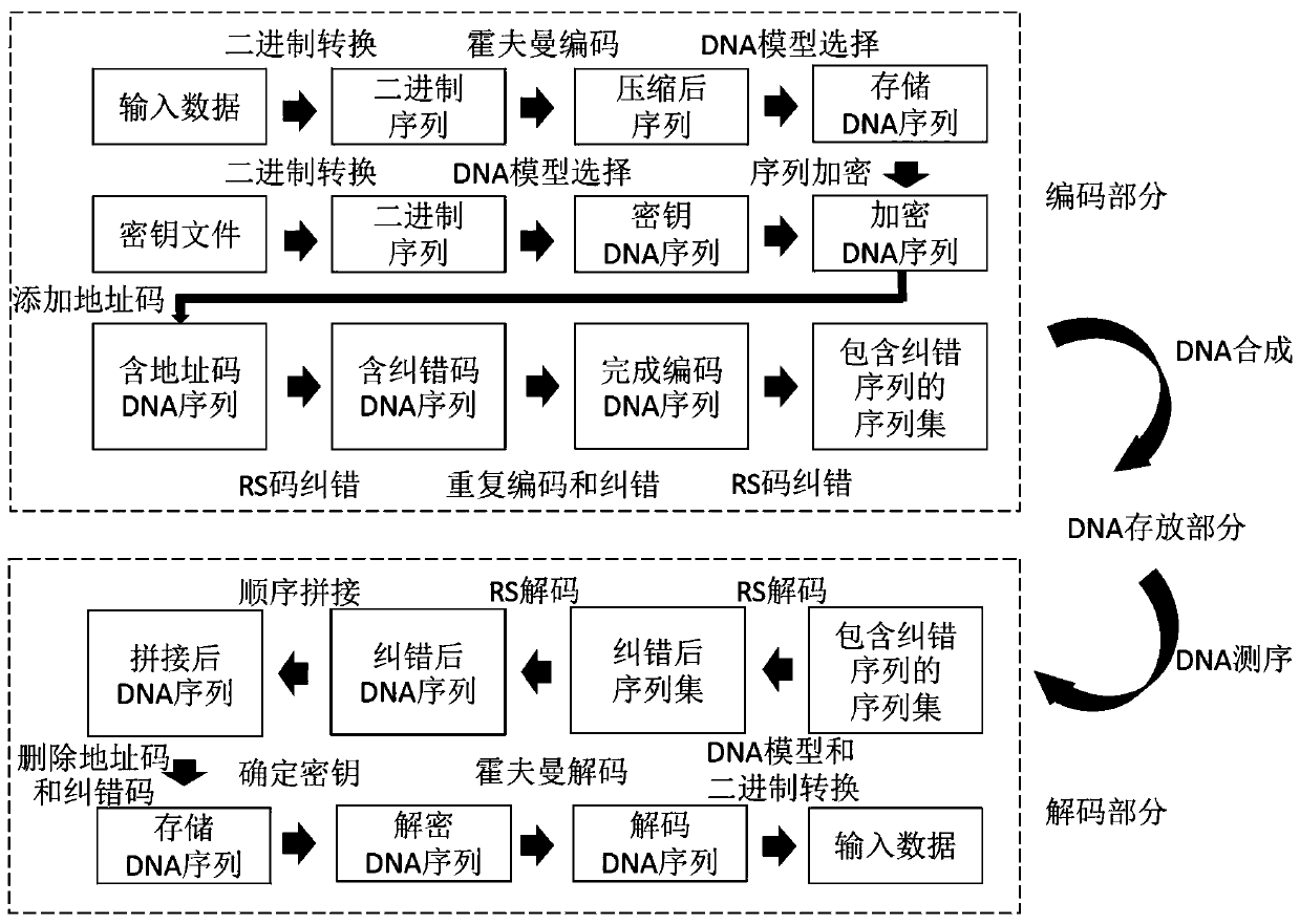 DNA storage, encryption and encoding method