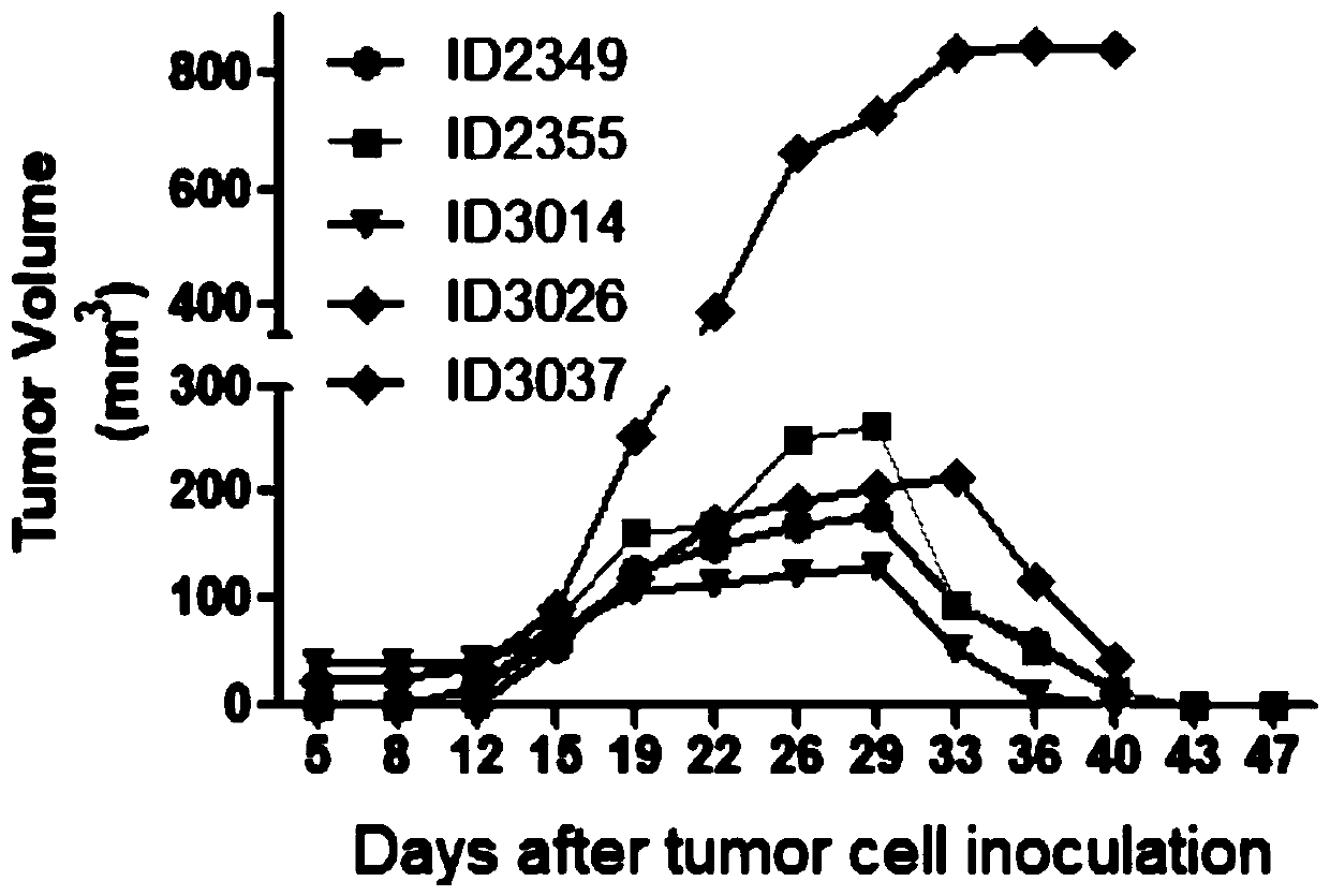 mRNA vaccine and kit and application thereof