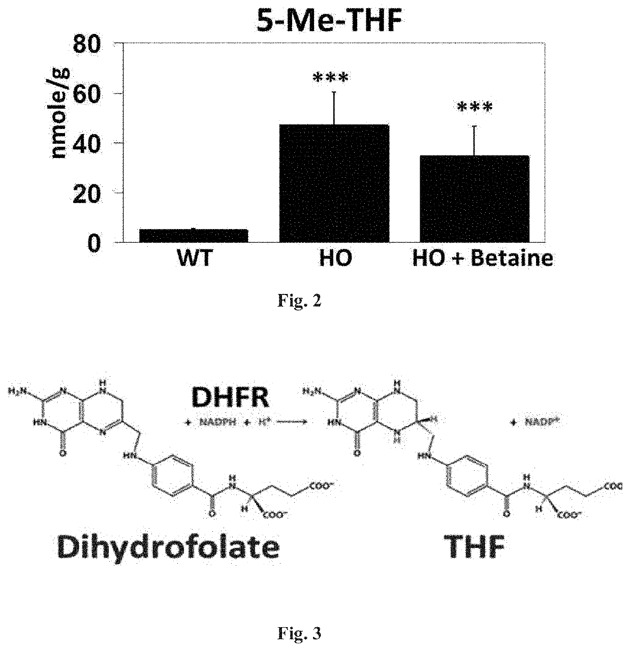 Compositions and methods for treating homocystinuria and other conditions