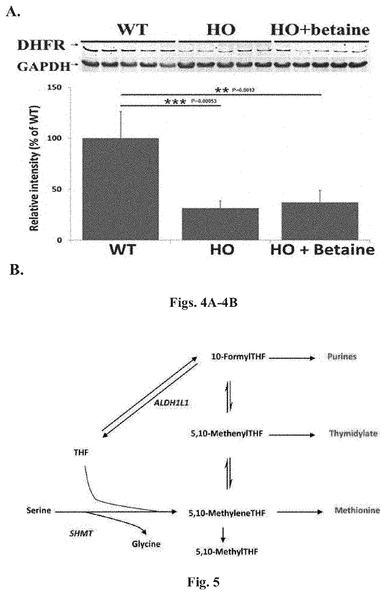 Compositions and methods for treating homocystinuria and other conditions