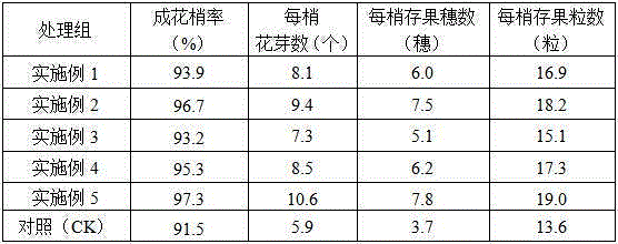 Special olive fertilizer for accelerating roots and retaining fruits