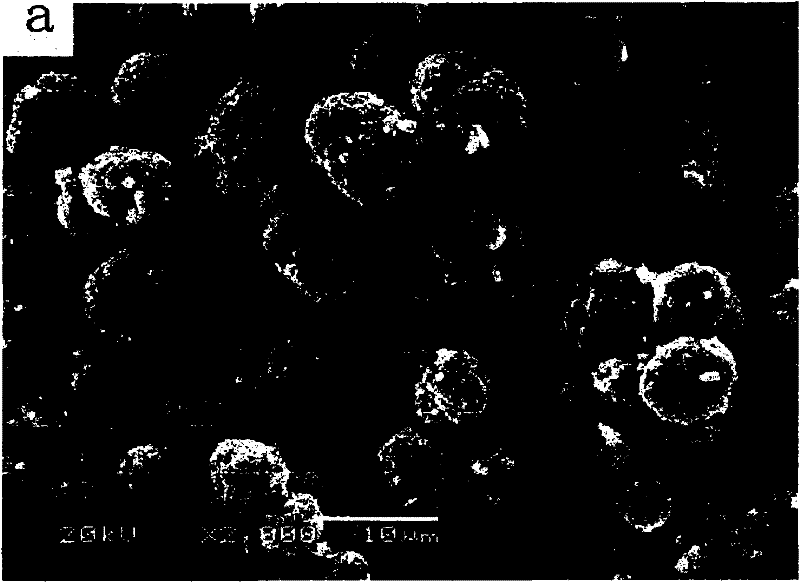 Boron-doped lithium nickel cobaltate anode material