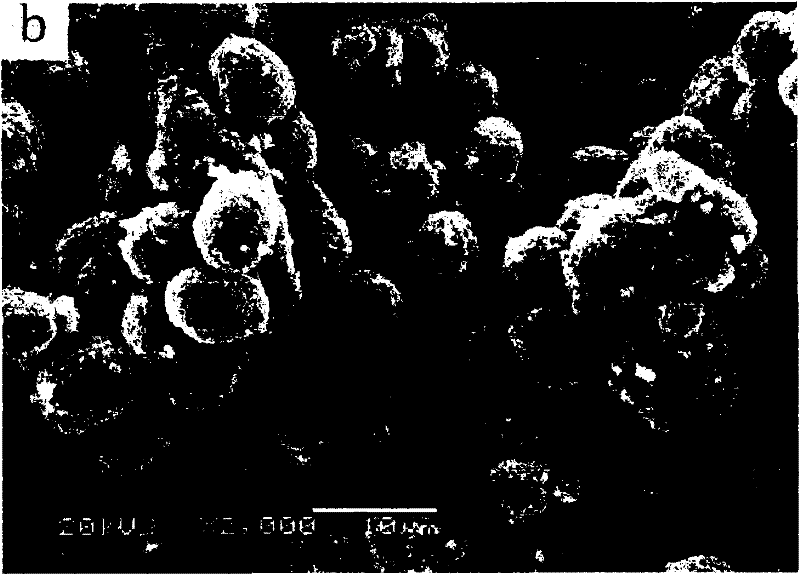 Boron-doped lithium nickel cobaltate anode material