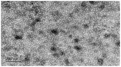 Avian bursal disease virus genetic engineering vaccine as well as preparation method and application thereof