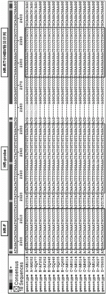 High-sensitivity and high-specificity fluorescence quantitative PCR detection system and detection method for blood HBV pgRNA