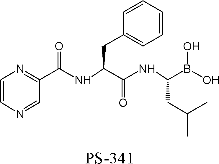 Synthetic method of proteasome inhibitor bortezomib and analogs