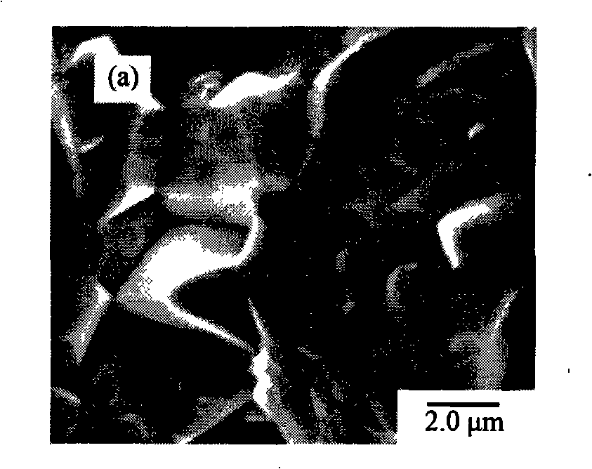 Lead niobium antimonite-containing five-element piezoelectric ceramics material for driver and preparation thereof