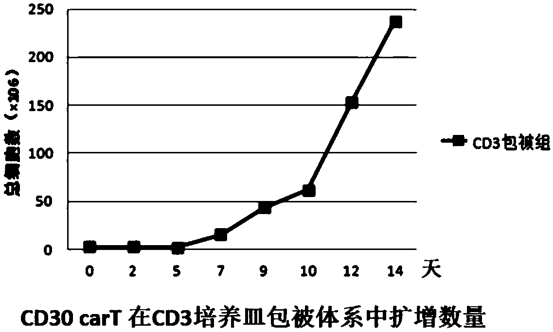 Transgenic T cell of targeted CD30 antigen as well as preparation method and application of transgenic T cell