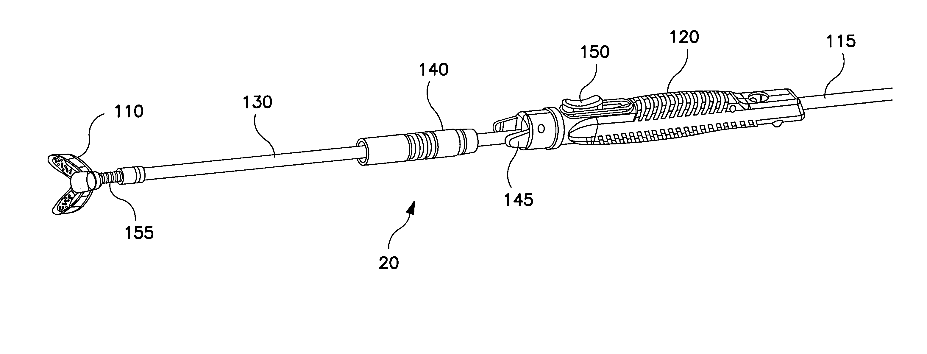 Method and system for organ positioning and stabilization