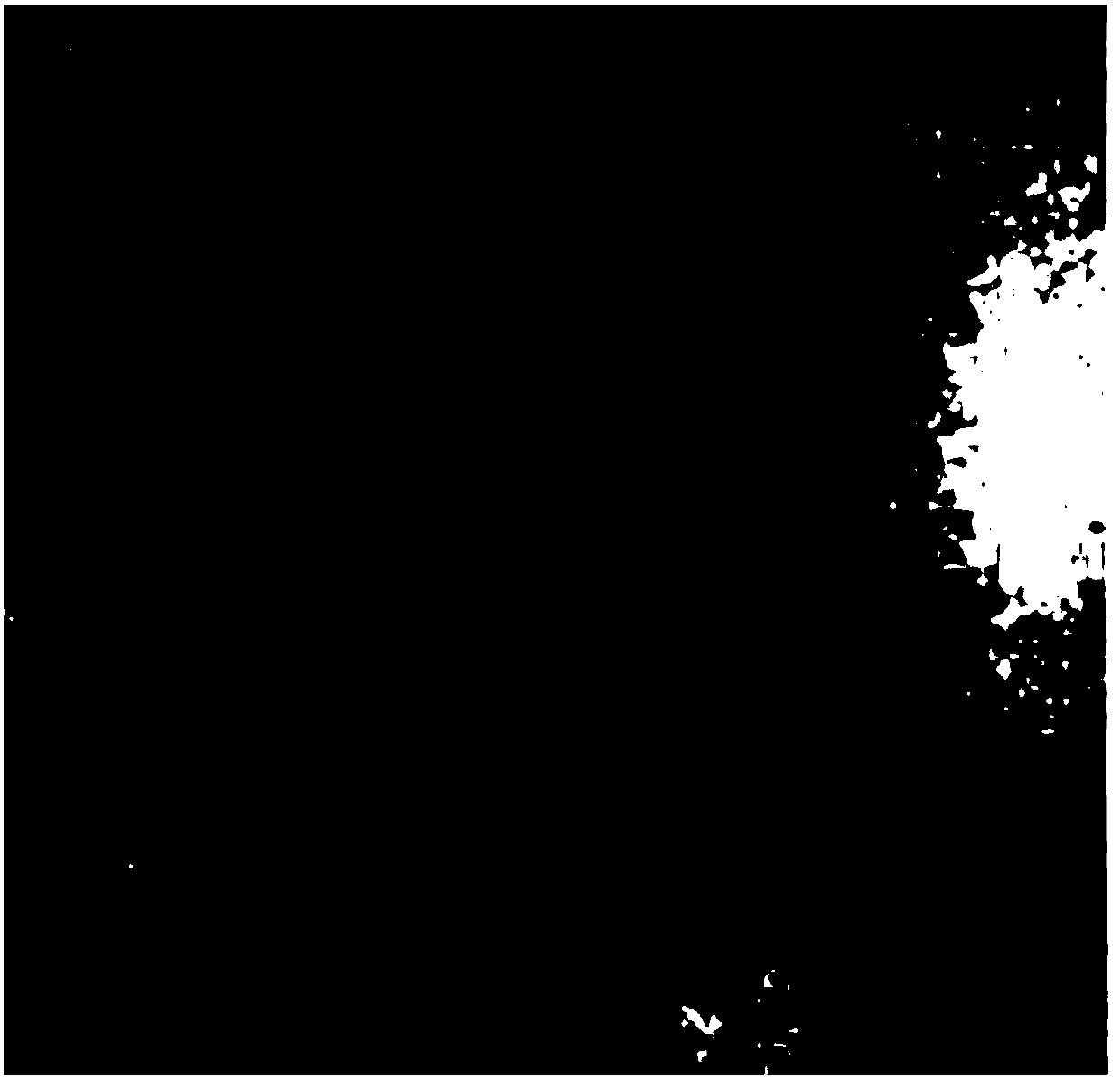 Biological synthesizing method of nano-selenium