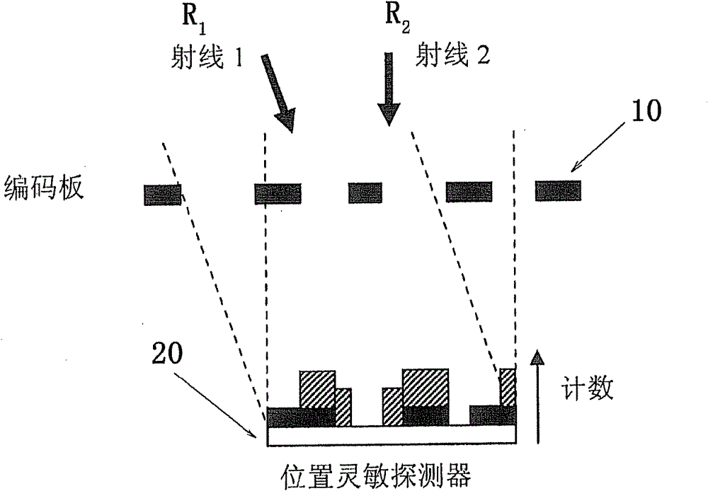 Gamma camera and method for detecting radiation ray by utilizing same