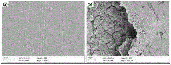 Coating material and coating with high contact fatigue strength based on 304 stainless steel base material