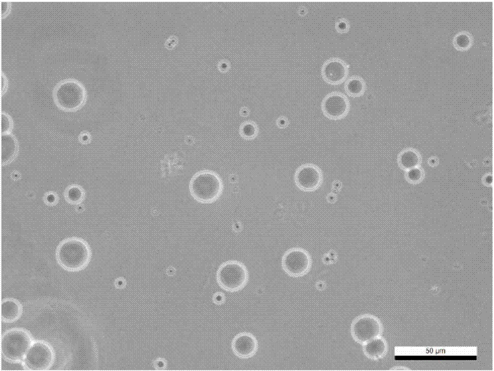 Drug-loaded hydrogel with enzyme and temperature dual responsibility and preparation method and application of drug-loaded hydrogel