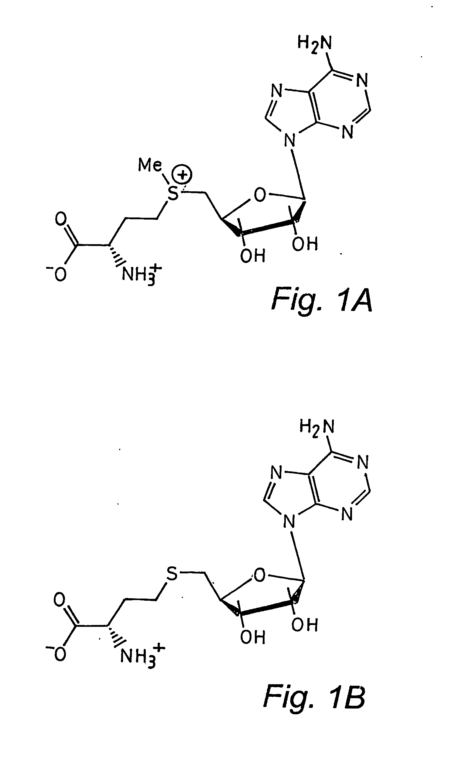 Protein crystal structure