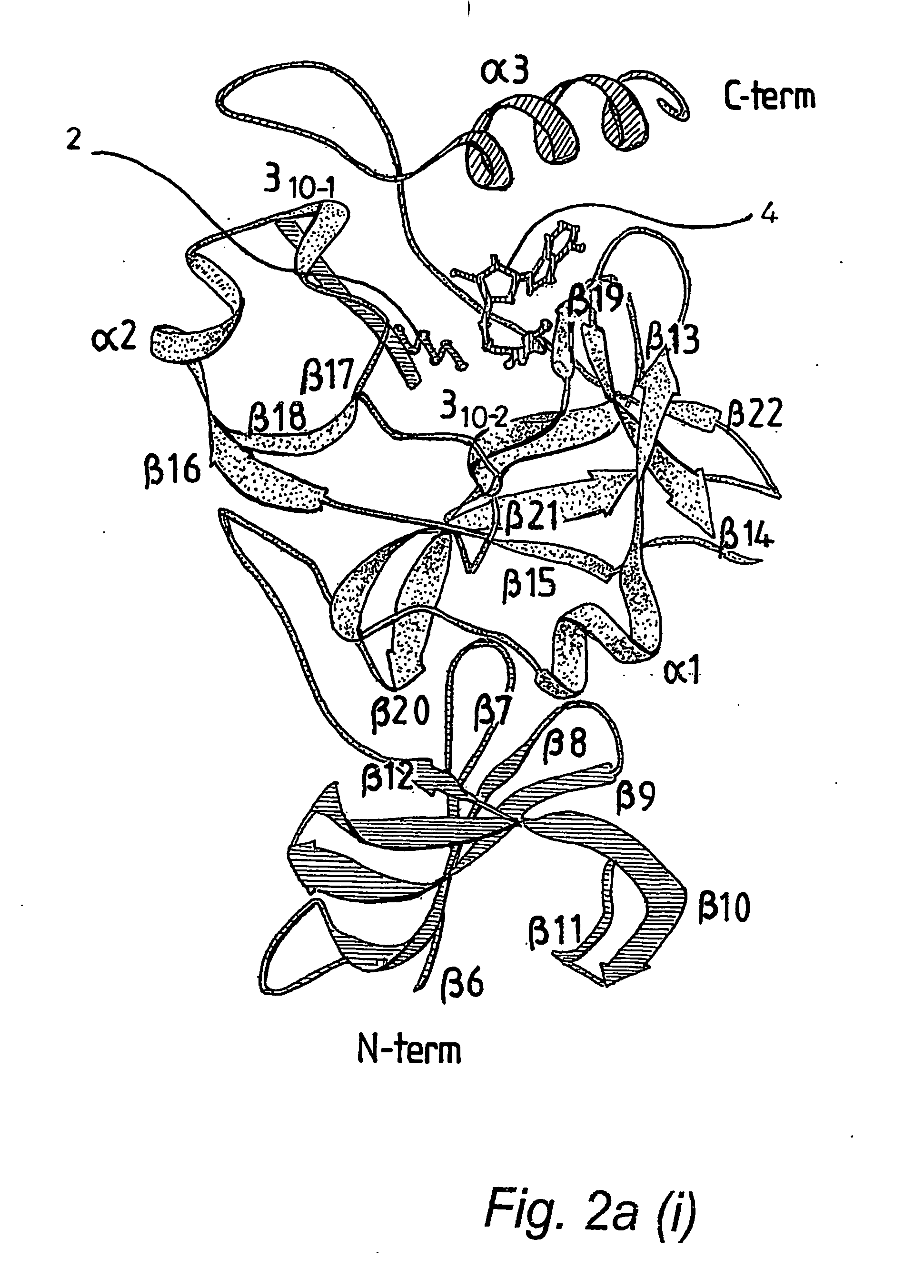 Protein crystal structure