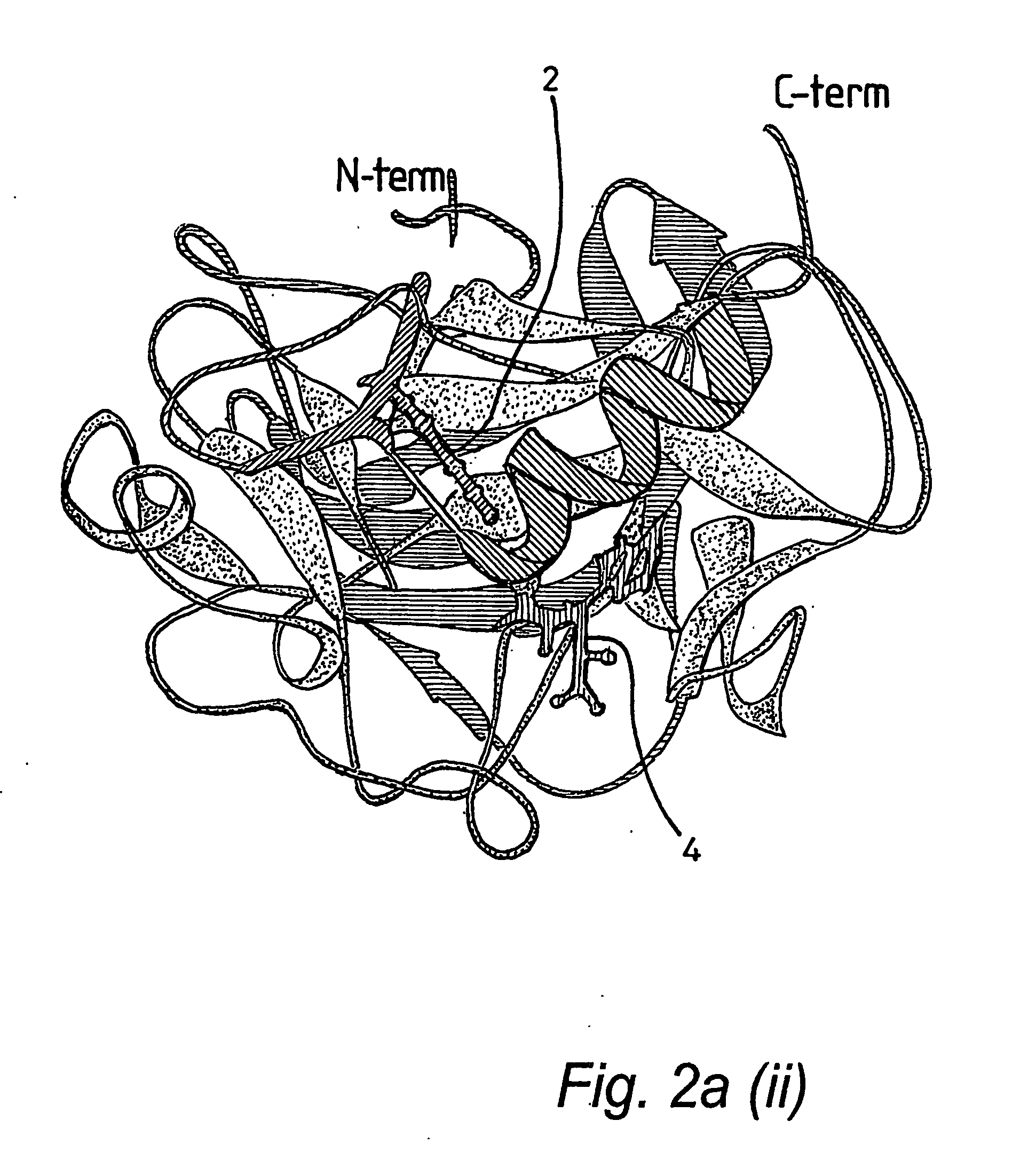 Protein crystal structure