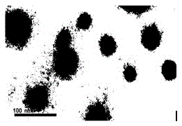 Preparation method of graphene lithium ion battery anode material doped with copper zinc tin sulfide