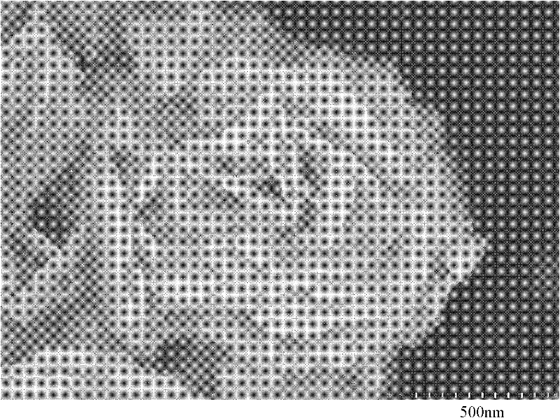 Elementary substance Bi nano-structured material and preparation method and application thereof